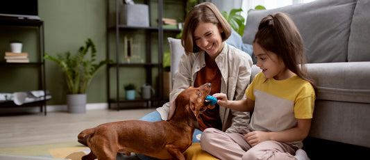 The Ultimate Guide to Making Pet Care Easier at Home