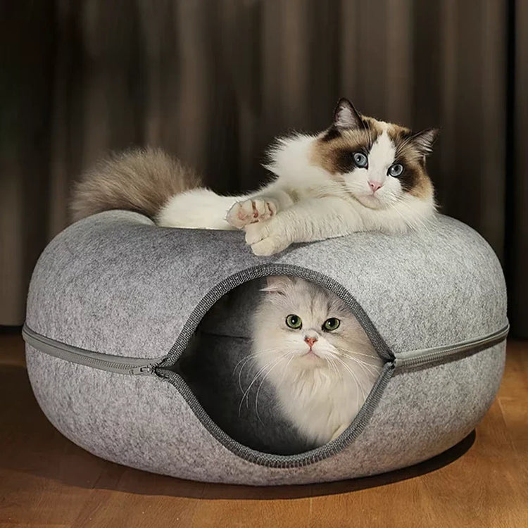 Cat Essentials