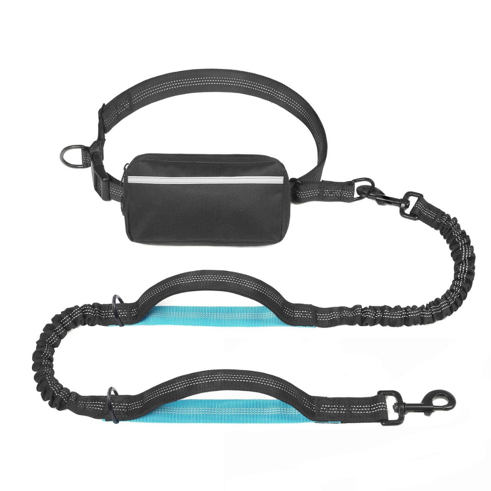Hands-Free Dog Leash with Zipper Pouch