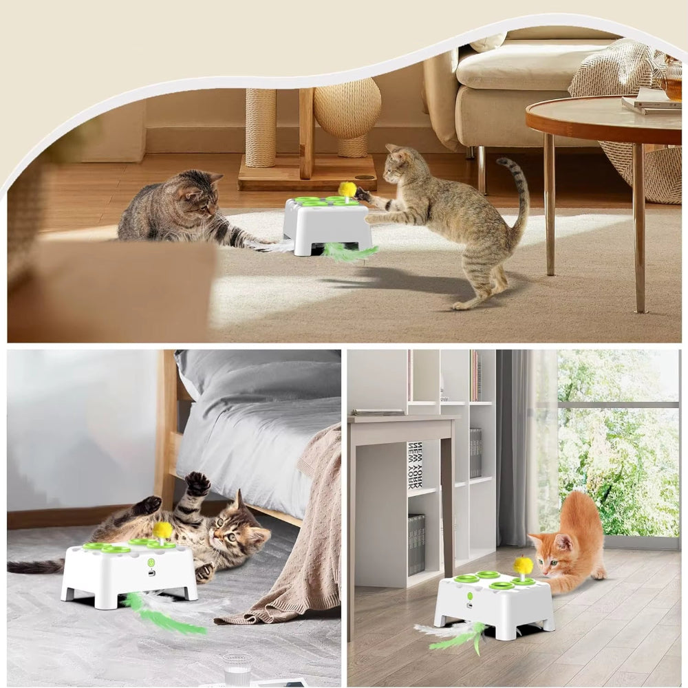 Whack a Mole Automatic Pop-Up Rechargeable Feather Toy for Cats Dogs Interactive Playing Kitten Training Pet Supplies
