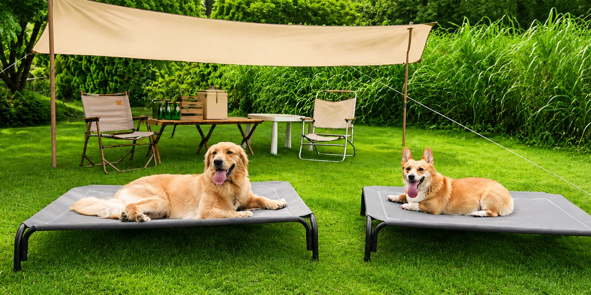 Because Pets Deserve the Best of Everything